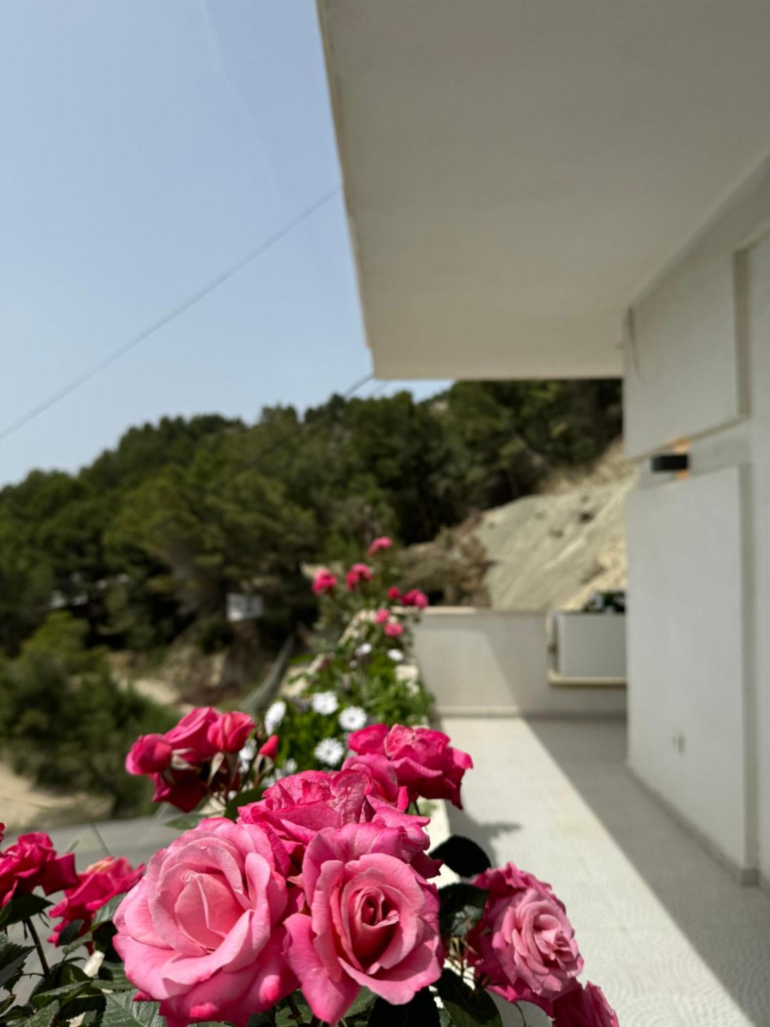 Villa D Hotel-Restaurant-Private Beach Durrës Eksteriør bilde